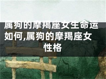 属狗的摩羯座女生命运如何,属狗的摩羯座女性格