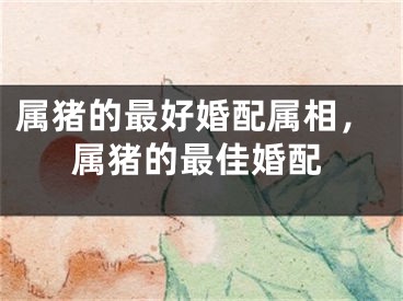 属猪的最好婚配属相，属猪的最佳婚配