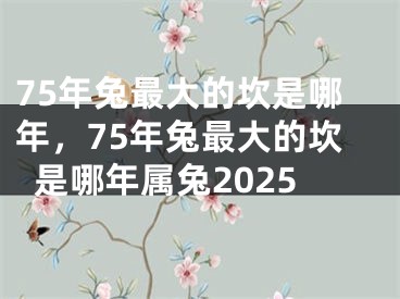 75年兔最大的坎是哪年,75年兔最大的坎是哪年属兔2025