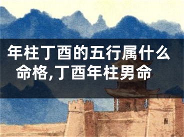 年柱丁酉的五行属什么命格,丁酉年柱男命