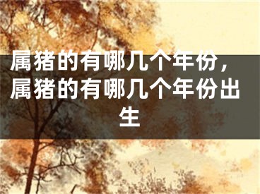 属猪的有哪几个年份，属猪的有哪几个年份出生