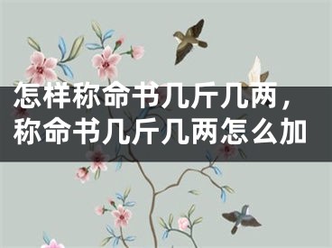 怎样称命书几斤几两,称命书几斤几两怎么加