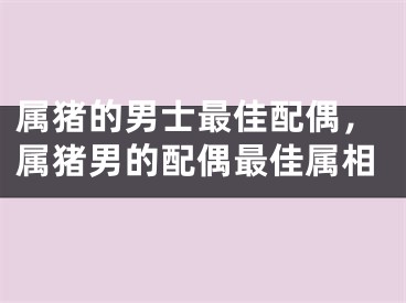 属猪的男士最佳配偶，属猪男的配偶最佳属相