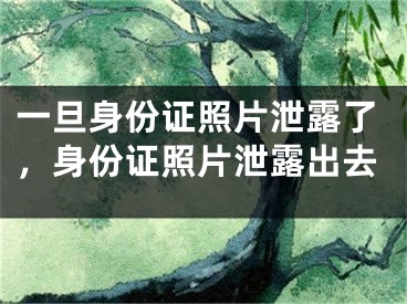 一旦身份证照片泄露了,身份证照片泄露出去