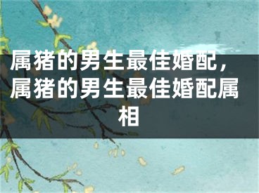 属猪的男生最佳婚配，属猪的男生最佳婚配属相