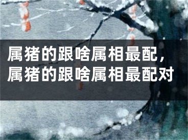 属猪的跟啥属相最配，属猪的跟啥属相最配对