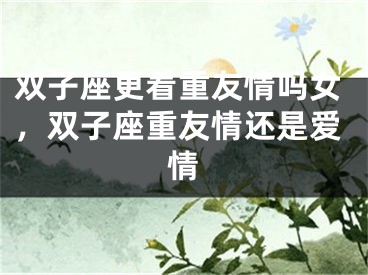 双子座更看重友情吗女，双子座重友情还是爱情