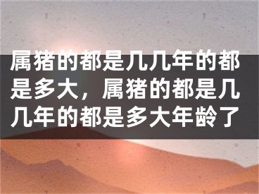 属猪的都是几几年的都是多大，属猪的都是几几年的都是多大年龄了