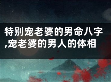 特别宠老婆的男命八字,宠老婆的男人的体相