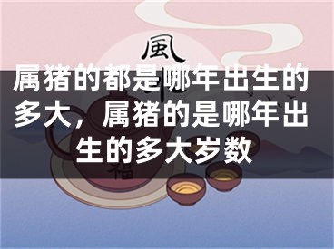 属猪的都是哪年出生的多大，属猪的是哪年出生的多大岁数