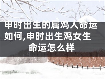 申时出生的属鸡人命运如何,申时出生鸡女生命运怎么样