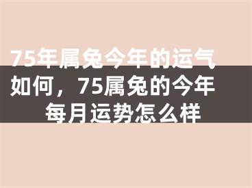 75年属兔今年的运气如何，75属兔的今年每月运势怎么样
