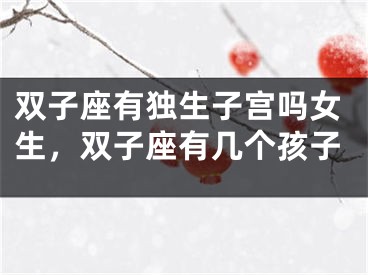 双子座有独生子宫吗女生，双子座有几个孩子