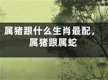 属猪跟什么生肖最配,属猪跟属蛇