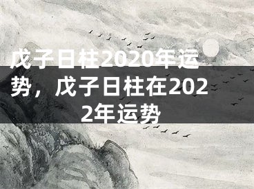 戊子日柱2020年运势，戊子日柱在2022年运势