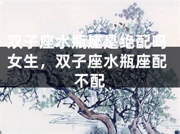 双子座水瓶座是绝配吗女生，双子座水瓶座配不配