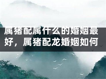 属猪配属什么的婚姻最好,属猪配龙婚姻如何