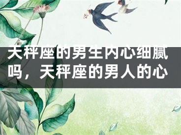 天秤座的男生内心细腻吗，天秤座的男人的心