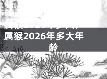 属猴2026年多大，属猴2026年多大年龄