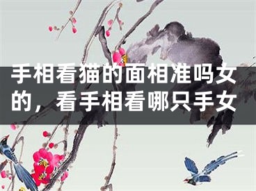 手相看猫的面相准吗女的，看手相看哪只手女