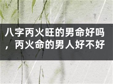 八字丙火旺的男命好吗，丙火命的男人好不好