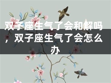 双子座生气了会和解吗，双子座生气了会怎么办
