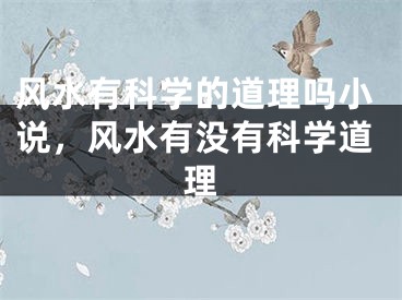 风水有科学的道理吗小说，风水有没有科学道理
