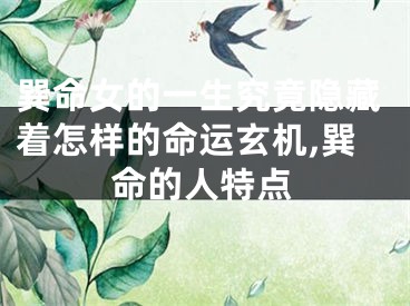 巽命女的一生究竟隐藏着怎样的命运玄机,巽命的人特点
