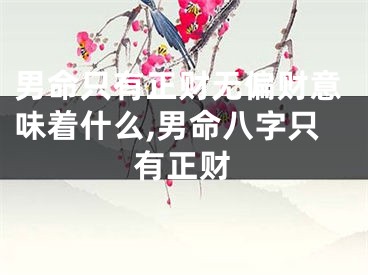 男命只有正财无偏财意味着什么,男命八字只有正财