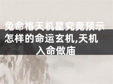 兔命格天机星究竟预示怎样的命运玄机,天机入命做庙
