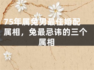 75年属兔男最佳婚配属相，兔最忌讳的三个属相