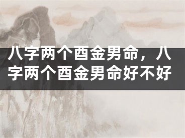 八字两个酉金男命，八字两个酉金男命好不好