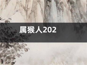 属猴人202