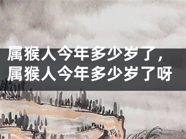 属猴人今年多少岁了，属猴人今年多少岁了呀