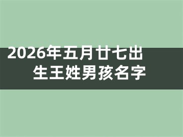 2026年五月廿七出生王姓男孩名字