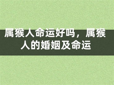 属猴人命运好吗，属猴人的婚姻及命运