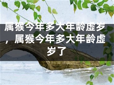 属猴今年多大年龄虚岁，属猴今年多大年龄虚岁了