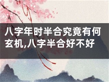 八字年时半合究竟有何玄机,八字半合好不好