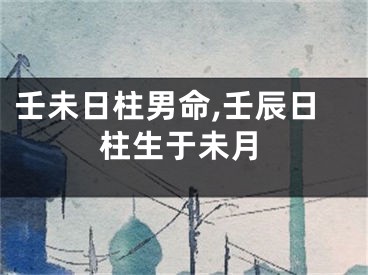 壬未日柱男命,壬辰日柱生于未月