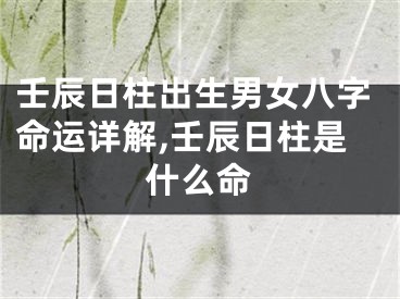 壬辰日柱出生男女八字命运详解,壬辰日柱是什么命