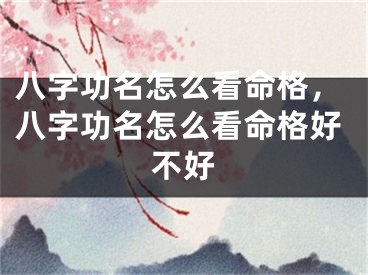 八字功名怎么看命格，八字功名怎么看命格好不好