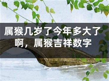 属猴几岁了今年多大了啊,属猴吉祥数字