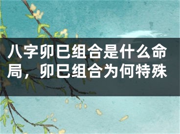 八字卯巳组合是什么命局，卯巳组合为何特殊