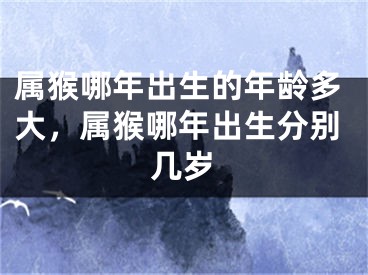 属猴哪年出生的年龄多大，属猴哪年出生分别几岁