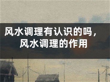 风水调理有认识的吗，风水调理的作用