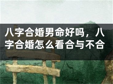 八字合婚男命好吗，八字合婚怎么看合与不合