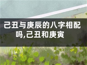 己丑与庚辰的八字相配吗,己丑和庚寅
