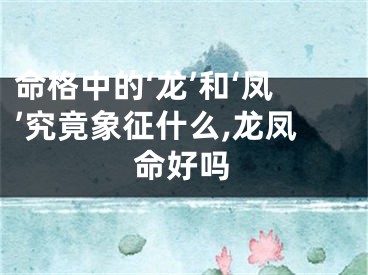 命格中的‘龙’和‘凤’究竟象征什么,龙凤命好吗