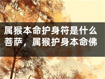 属猴本命护身符是什么菩萨，属猴护身本命佛