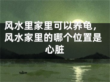 风水里家里可以养龟，风水家里的哪个位置是心脏